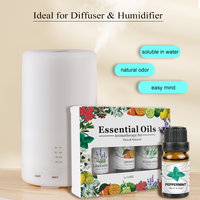 3 Pack - Aromatherapy Essential Oils Gift Set For Humidifiers Oil Diffuser Mist